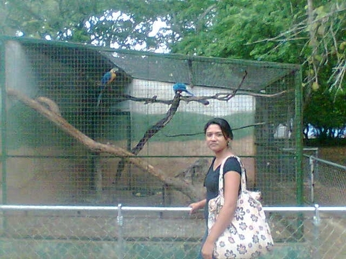 oriprieto's profile picture. 