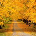 Leo Hwang - @dcpro1 - Twitter