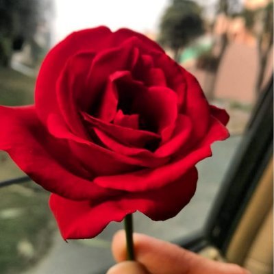 Profile Picture of Iram (@IramImran97) on Twitter