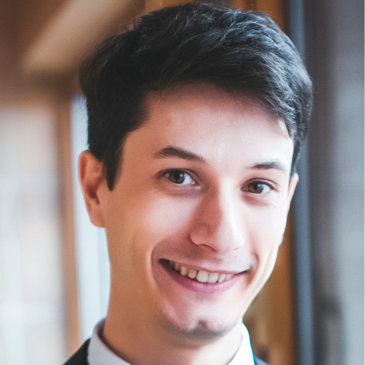 Ștefan Stănciulescu Profile