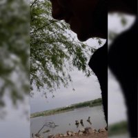 Onur Kodaz (@onurkodaz) 's Twitter Profile Photo