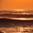 kainalu (@kainalu) 's Twitter Profile