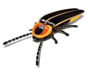 azuki_pie's profile picture. Champion of the World!