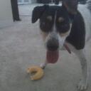 Kate Ahern - @couponkate - Twitter