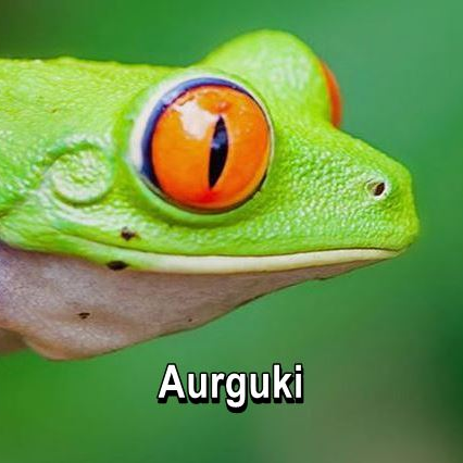 aurguki's profile picture. Lo que ES, es Consciencia.