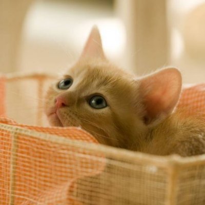 ciel_mess's profile picture. 問題をつくりだした時と同じ考え方では、その問題を解決することはできない。