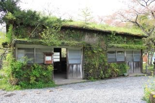 Polypterus90's profile picture. 