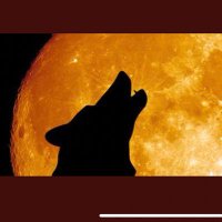DP/GM (@globalmattrix) 's Twitter Profile