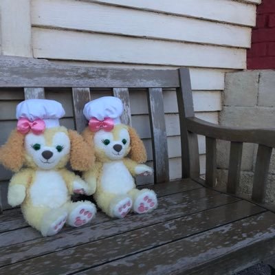 井上 明日香 Asuka Ryt Twitter 井上 明日香 Asuka Ryt Twitter