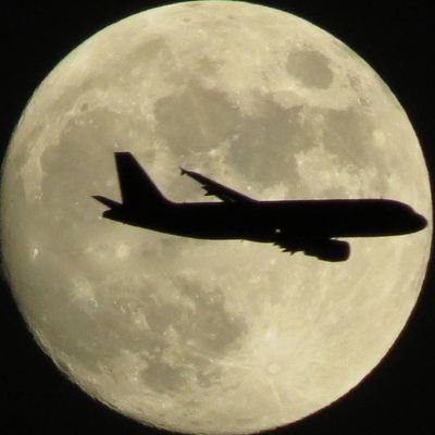 skubasa10's profile picture. 