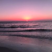 Barbara K Johnson (@barbarakjohnso3) 's Twitter Profile