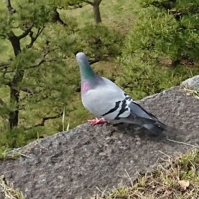 さみっとさんのプロフィール画像