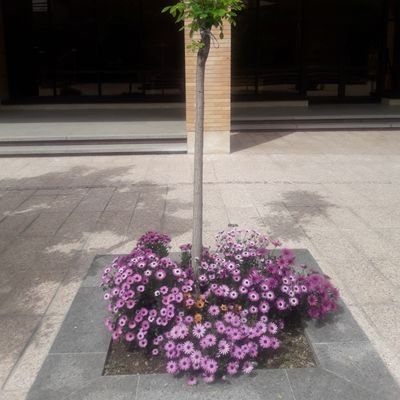 yekadadtanha's profile picture. nothing - chessplayer