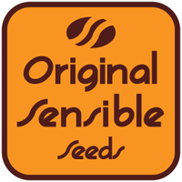 Original Sensible Seeds (@os_seeds) 's Twitter Profile