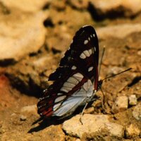 Halkla İlişkilerci (@halklailsklerci) 's Twitter Profile