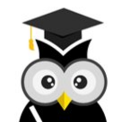 InFocusPerform1's profile picture. 