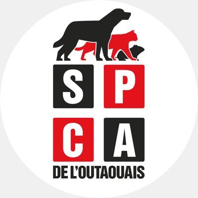 Protéger les animaux contre la négligence, les abus et l'exploitation. Assurer leur bien-être et provoquer une prise de conscience. #spcaoutaouais