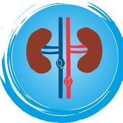 Homeopathic Medicine and Natural Remedies For Kidney Stone and Kidney Infection.