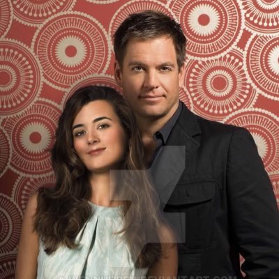 Fan of NCIS seasons 3-10(And end of 13) Hardcore Tiva Fan! The old team is the only team💜Cote De Pablo & Michael Weatherly fan💙Fanfic name: NCIS-Kingdom