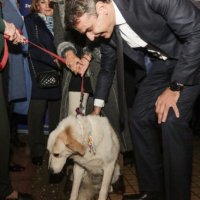 Olakoula (@olakoula1) 's Twitter Profile Photo