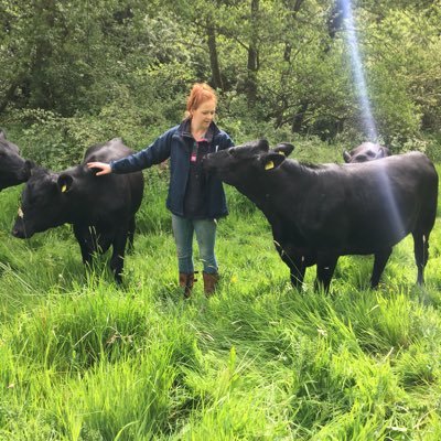 Traditionally dry aged for at least 3 weeks & prepared by our trusted, professional butcher, supplied direct from the farm.