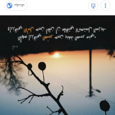 Ohoud23989861's profile picture. 