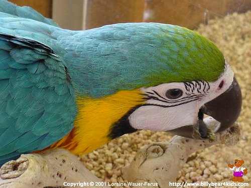 suzisapunk's profile picture. Lutheran Christian, Music Lover, Phillies Fan