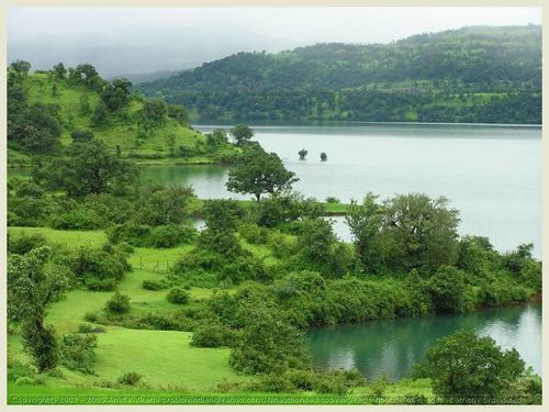 Empower_Test2's profile picture. 