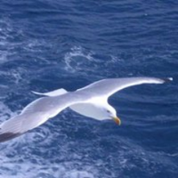 panagiotis pavlidis (@47panagiotis) 's Twitter Profile Photo panagiotis pavlidis (@47panagiotis) 's Twitter Profile Photo