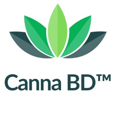 🌿 The best CBD salves, creams, and topicals are now available online.