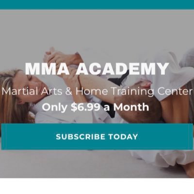 To educate, motivate, and help others to lead a healthy life style through the training of Martial Arts and its Philosophy.