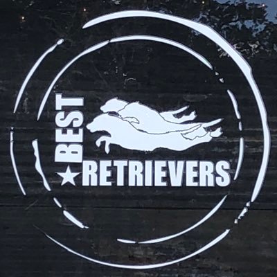 BestRetrievers's profile picture. There is nothing like hunting with the Best dog by your side.....