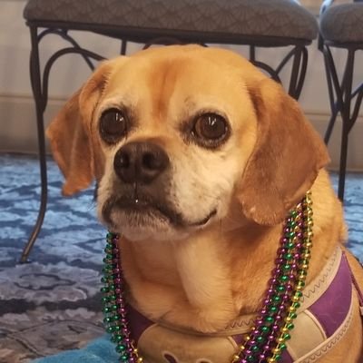 ElizaRylee's profile picture. 