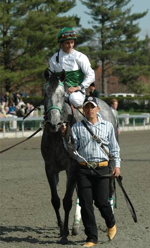 Have worked in the Thoroughbred industry for over 30 years; News/website editor, auction database mgr., freelance writer, photographer. MSU Spartan alum.