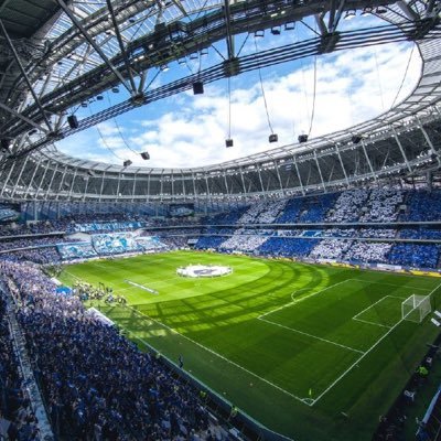 Болельщики футбольного клуба «Динамо» (Москва)
