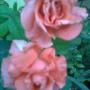 sapna soni - @ssonisapna - Twitter