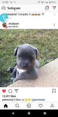 arijazzc's profile picture. Nope