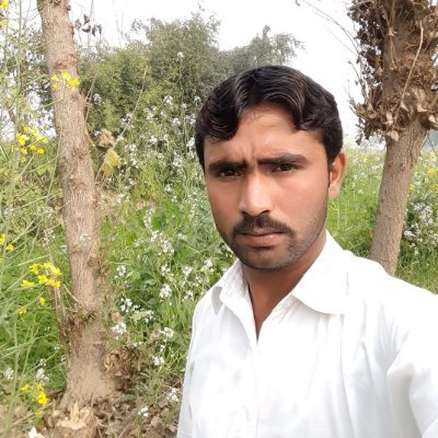 ShaidIq53553011's profile picture. SEO expert and Freelancer