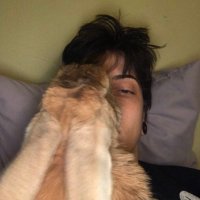 ЯНА (@_vsyana) 's Twitter Profile