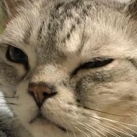 みやこ (@ngaoeyurthxpqk9) 's Twitter Profile