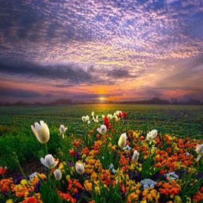 yamilesoto18's profile picture. Libanesa, mamá, leonesa