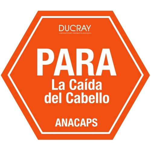 paralacaida Profile Picture