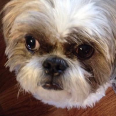 Love Family. Married to Paul, Momma Bear to 4. Nana to Andrew, Sophie, Jackson, Amelia and new baby Marley. Love my dog Frankie. (Also my favorite Nephew Jake)