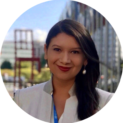 Associate Professor @PaceUniversity | Associate Research Fellow @UNUCRIS | Treasurer/Board Member @H_S_Global | #healthpolicy #healthgovernance #healthsystems