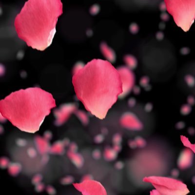 يارب املئنا براحة تغنينا عن كل شيء🌺