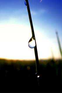 papantobay's profile picture. 1967年製   ポンコツおやじロボ                 高さ176cm/重量66kg/なで肩の四十肩/右利き/頭髪(ヤバイ)/胸毛(未処理)/腕毛(未処理)/足毛(未処理)/下戸/音痴/乱視/DM/ローテク/アナログ/マグロ(赤身)/白飯/漬物/寿司/野菜/嫌いな物無い/嫌いなこと:こだわり