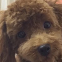 Eric 🇯🇵🇺🇦🇮🇱🇬🇧🇺🇸日本保守党員108033 (@eric7_garnham) 's Twitter Profile Photo Eric 🇯🇵🇺🇦🇮🇱🇬🇧🇺🇸日本保守党員108033 (@eric7_garnham) 's Twitter Profile Photo