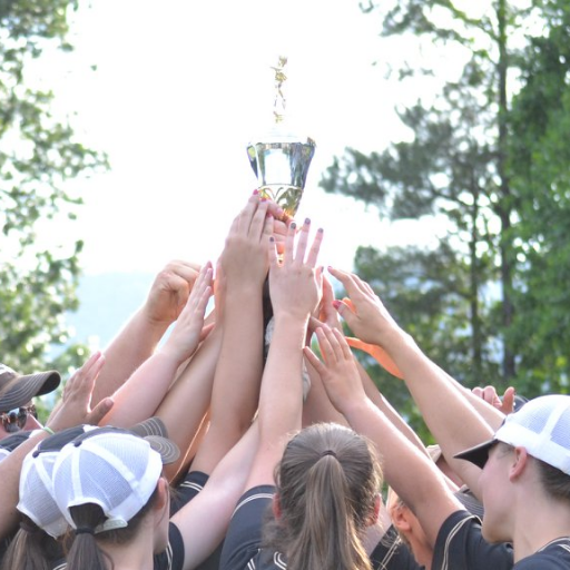 GAPSOFTBALL's profile picture. 2019 Lady Bison Softball | 2015 Conference Champs | 2017 & 2019 District Champs |