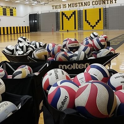 Aurora University Men's Volleyball 
Metea Valley Volleyball.