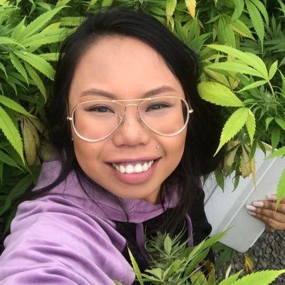 DollyBeauregard's profile picture. Fire content Full of CBD